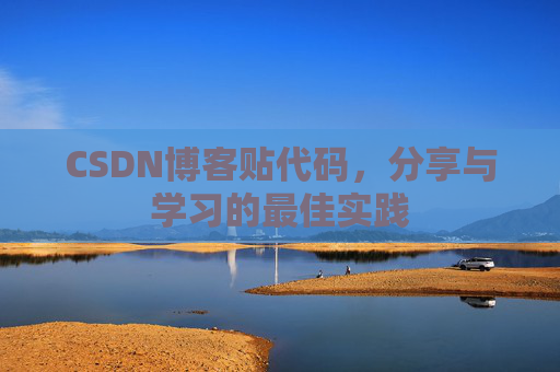 CSDN博客贴代码，分享与学习的最佳实践